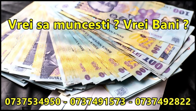 Job. Vrei sa muncesti? Vrei bani?